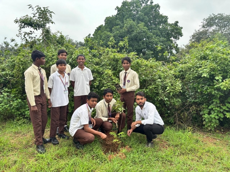 Plantation